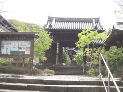 浜町・桜02