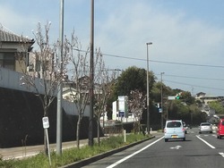 大村公園01