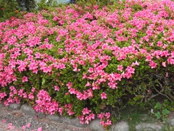 大村公園02-7