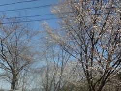 ������01