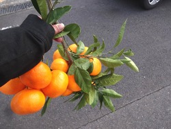 伊木力01-4