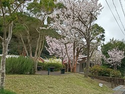 �����ꥹ�ѡ���01-2