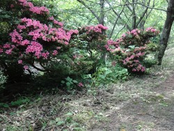 神の島公園01-6