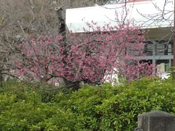 ��¼����01