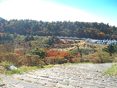 ����ƽ���Ÿ˾��06