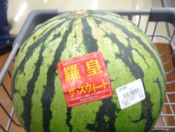 福田01-2
