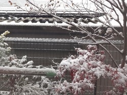 雪01-2