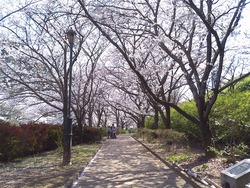 �����������02-4