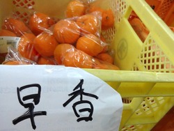 多良見01-2