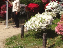 諫早公園01-4