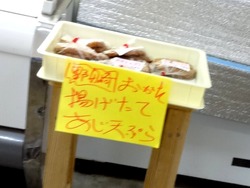 長崎市南部01-5