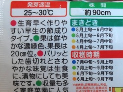 キュウリ01-2