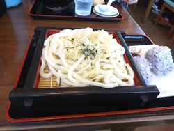春の家01-9