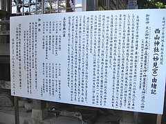 ��������04