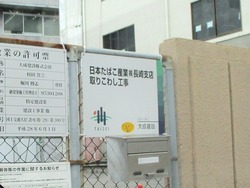 朱々03-2