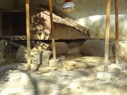 ��ˬ����01-8