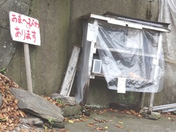 茂木01-6