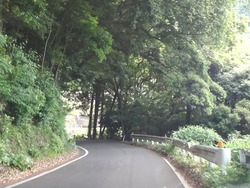 伊木力01-4