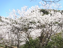 西山01-2