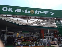 諫早04