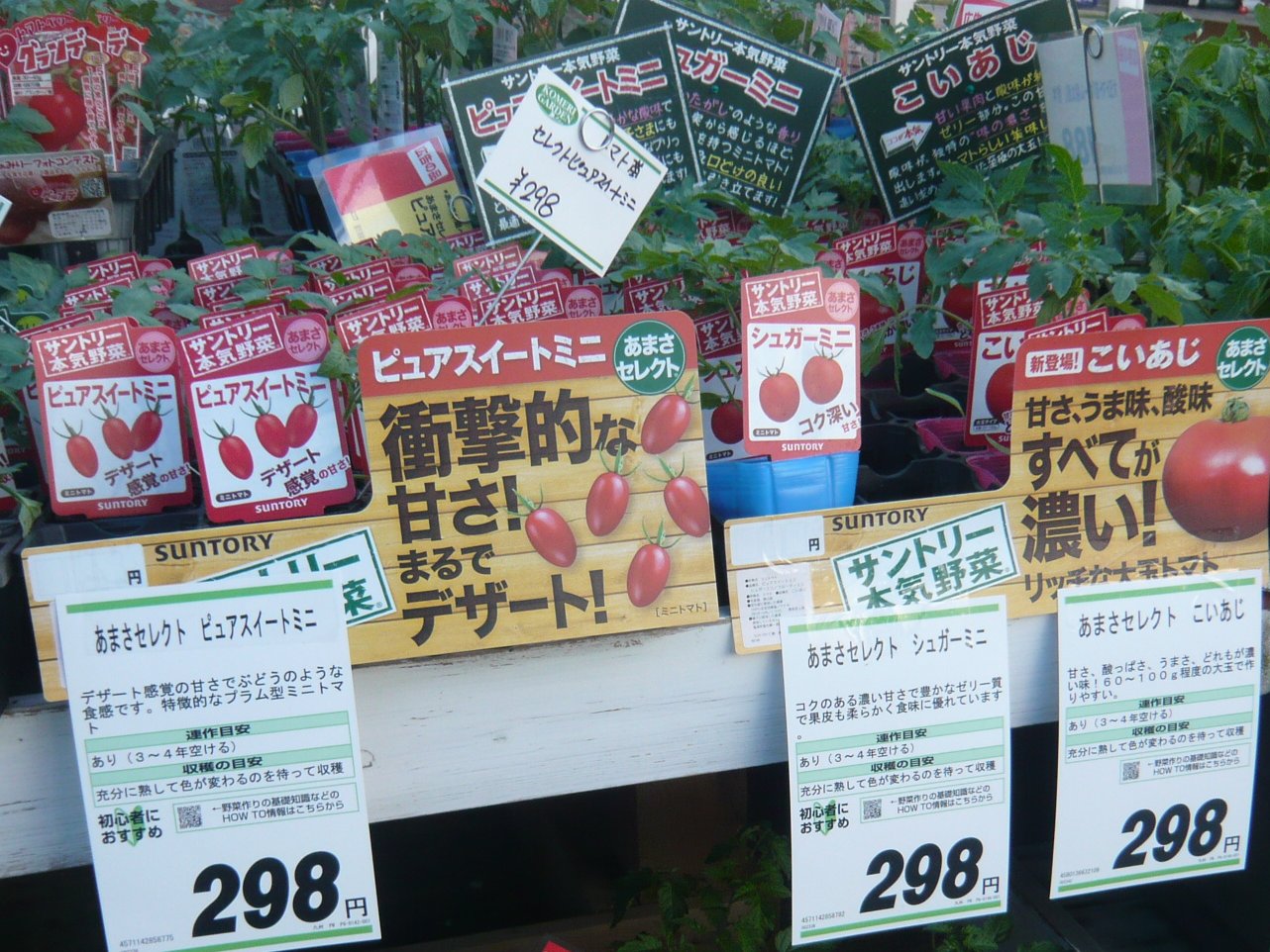 正しい休日の過ごし方 コメリ時津店 Livedoor Blog ブログ