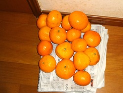 伊木力02-2
