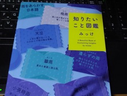本01