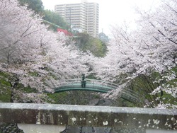 À¾»³¥À¥à05-4