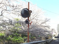 赤迫01