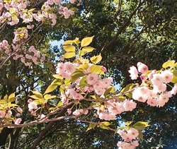 大村公園02-5
