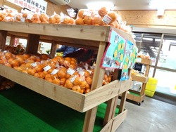 三和01-3