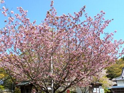 大村公園02-2