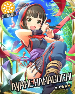 hmgcaym12