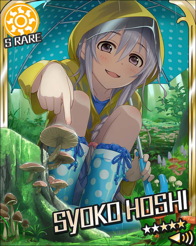 hsshok13.jpg