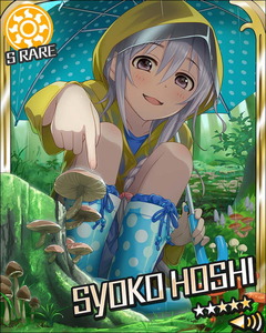 hsshok13