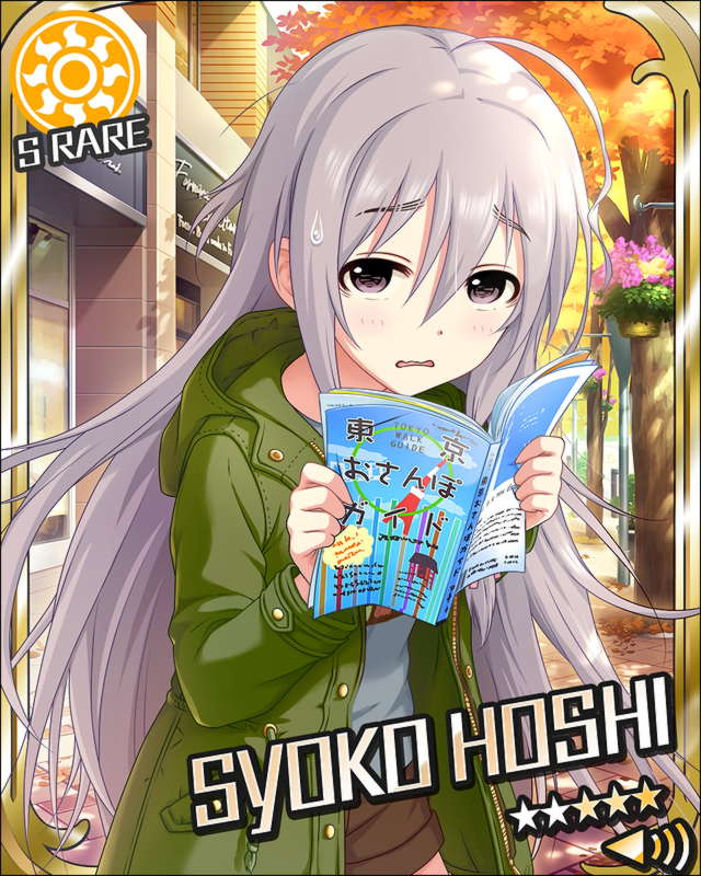 hsshok21.jpg