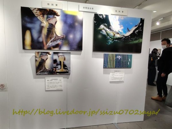 2601031s��ƻ�̿�Ÿ70517094