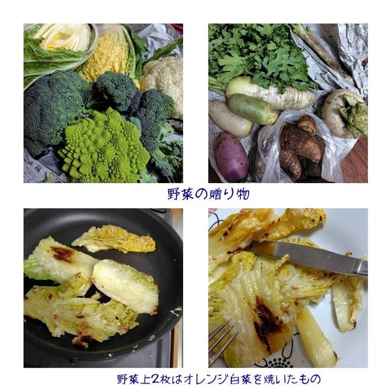 ��ڤ�£��ʪ