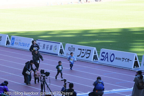 �ϡ��եޥ饽���-5375