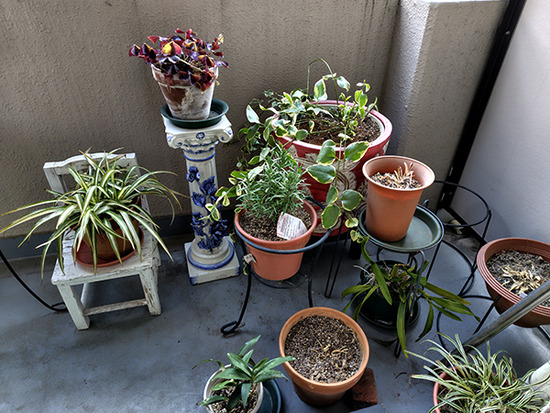 �٥�����ȭ260116152614725