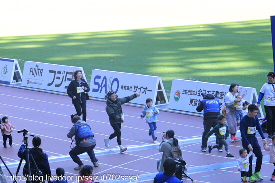 �ϡ��եޥ饽��-5378