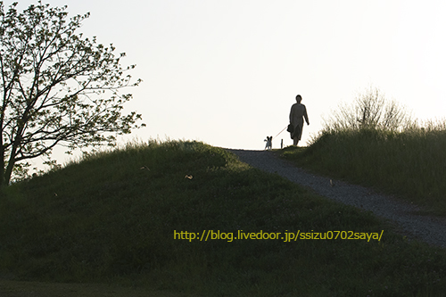 blog-IMG_2490