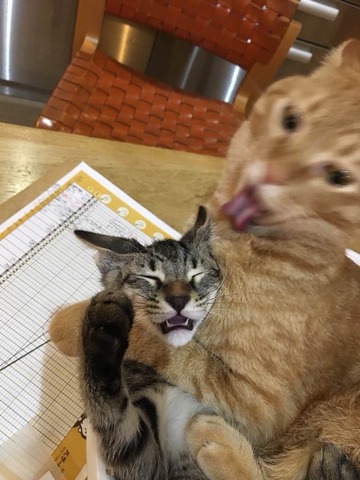 no title