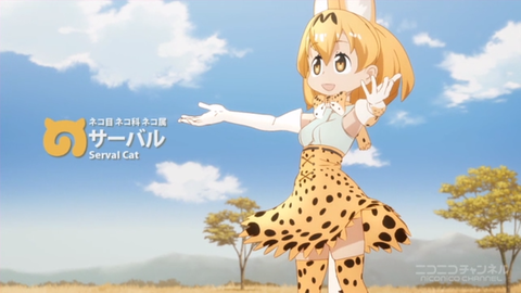 サーバル