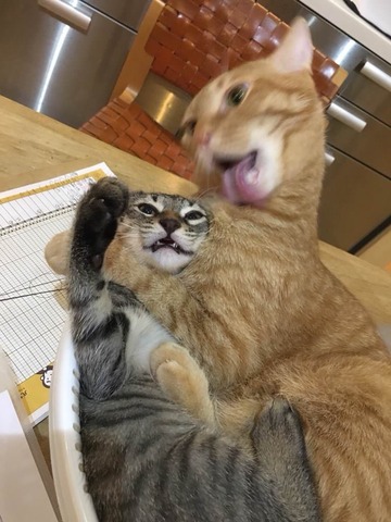 no title