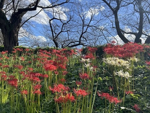 771F47AC-2B8B-4083-BFBE-CC4CDFA2CEFC