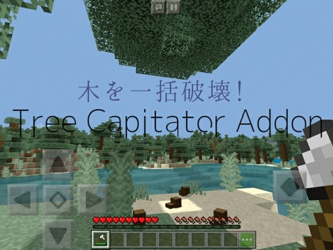 Be版木こりmod Tree Capitator Addon アドオン紹介 マイクラ好きのbelog ベログ