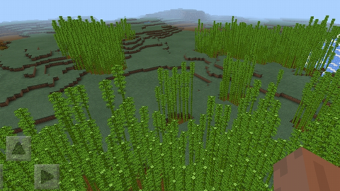 more-biomes-vanilla-b_10