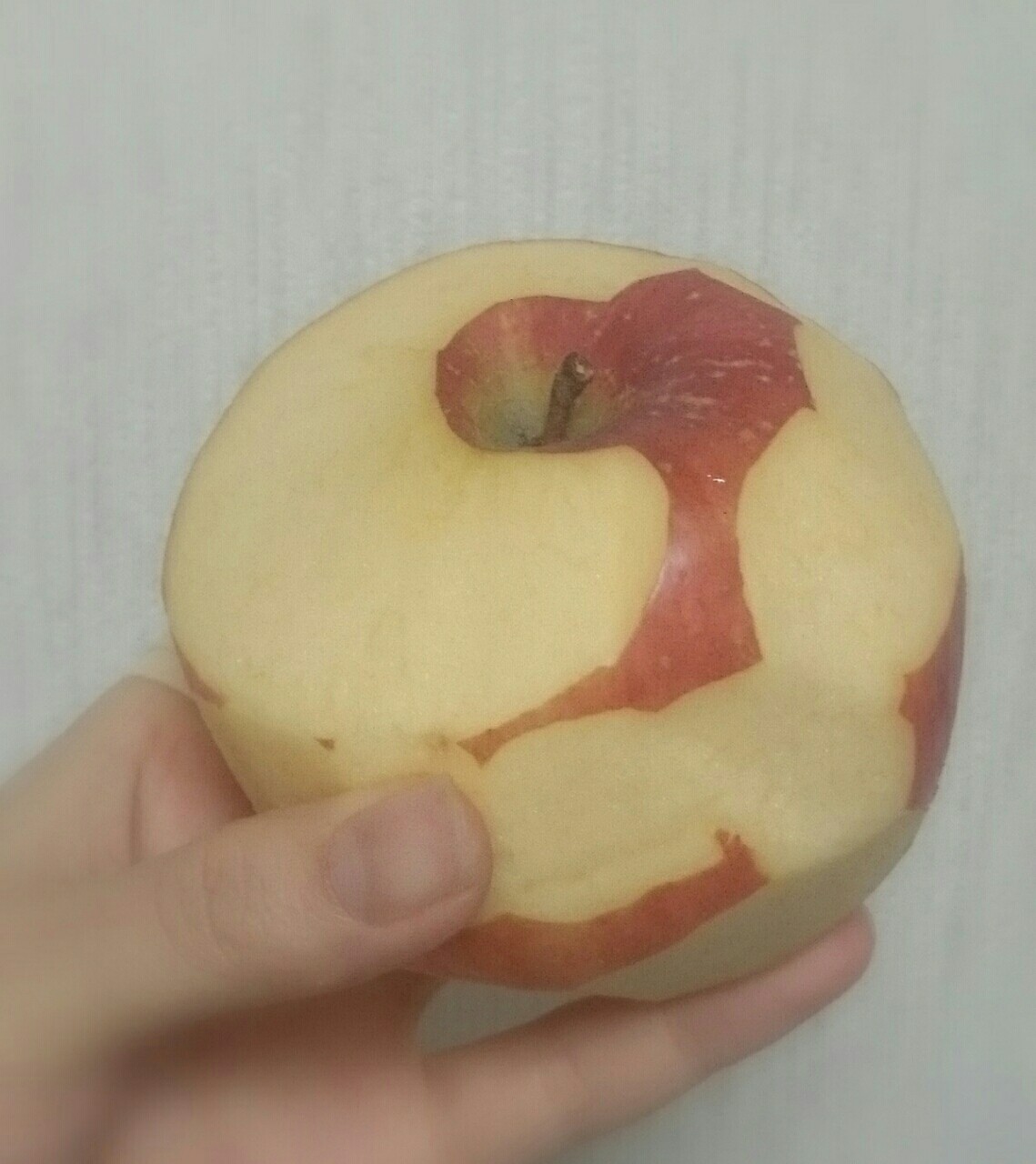 事件は現場で起きている それはそれシスターズ