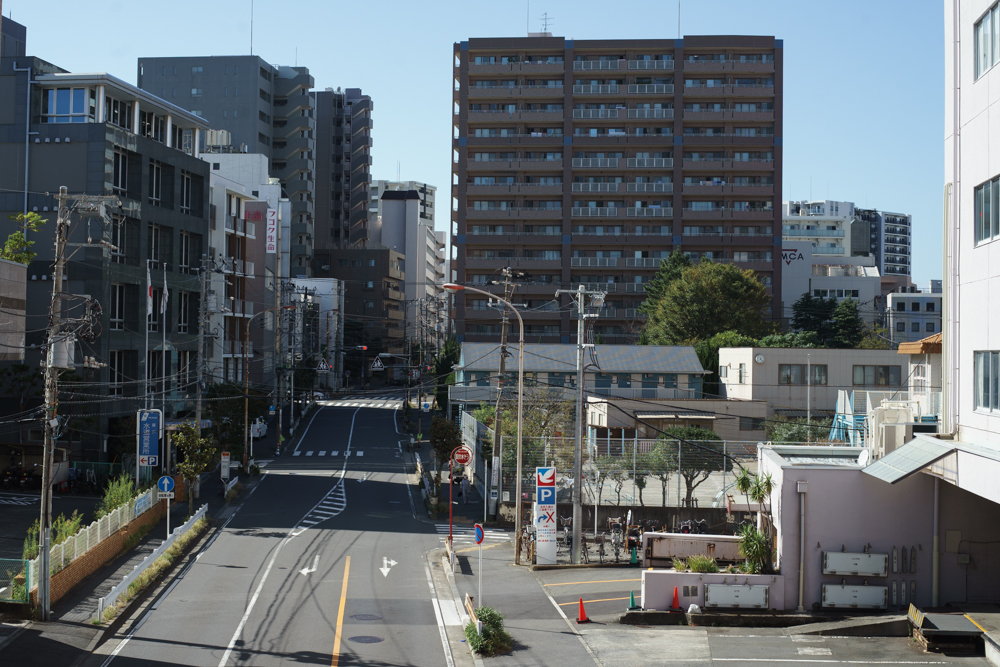 レンズ探求 #35 XR RIKENON 50mm F2（初代） 野外比較 : ZEISSレンズ